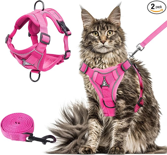 Wanheart Summer cat Chest Harness and Leash, Anti-Escape Adjustable Soft mesh cat Leash and Chest Harness Set for All Types of Cats cat Vests (Rose red, XL)