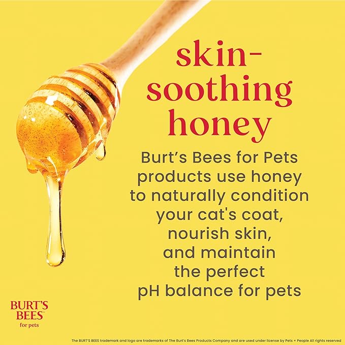 BURT'S BEES FOR PETS Cat Dander Remover Wipes, Colloidal Oat Flour and Aloe to Soothe Dry Skin and Reduce Flaking, Unscented Grooming Cloths for Cats and Kittens, 50 Count - 2 Pack