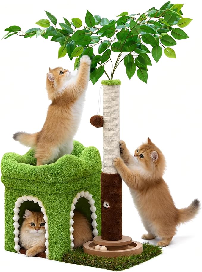 Woochpet Small Cat Tree with Scratching Post and Ball Track, Green Cat Tower with Lifelike Leaves for Kittens and Small Cats, 2-Door Cat Condo and Interactive Cat Toys for Indoor Cats
