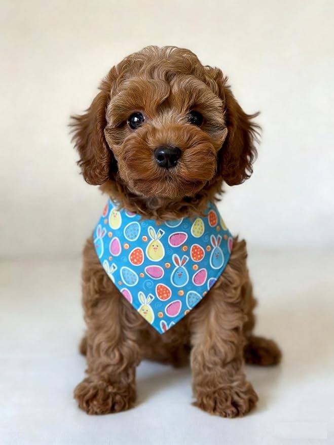 Small Dog Happy Easter Outfit Bunny Shirt & Bandanas Pet Cat Clothes Vest Yellow M