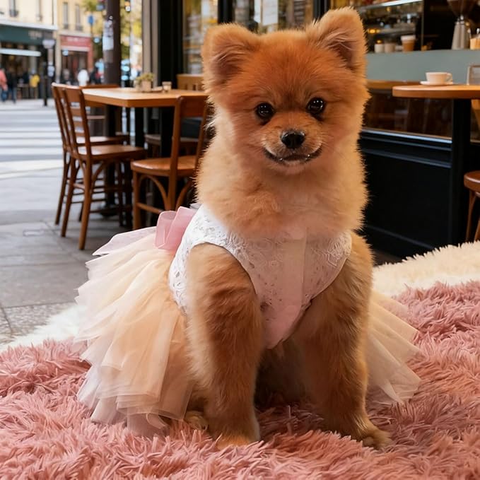 Dog and Cat Girl Bow Dress, White Dog D-Ring Wedding Dress with Pink Bow, Cat Birthday Set, Chihuahua York Pomeranian Cat Pet Party Dress (Pink Bow-Princess, Medium)