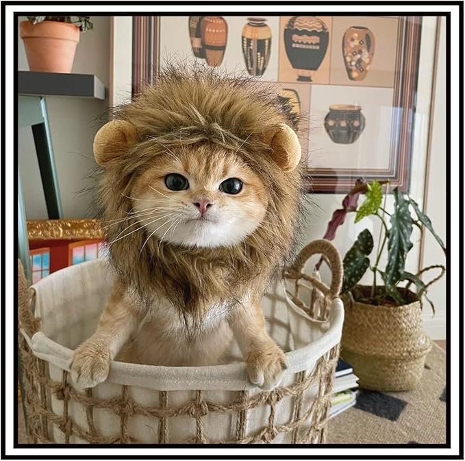 5 Pieces Cat Hat Adorable Cat Costume Outfit Bunny Hat with Ears Funny Mane Hat for Cats and Small Dogs Kitten Puppy Party Costume Accessory Headwear (Frog-Flower-Rabbit-Lion-Chick)