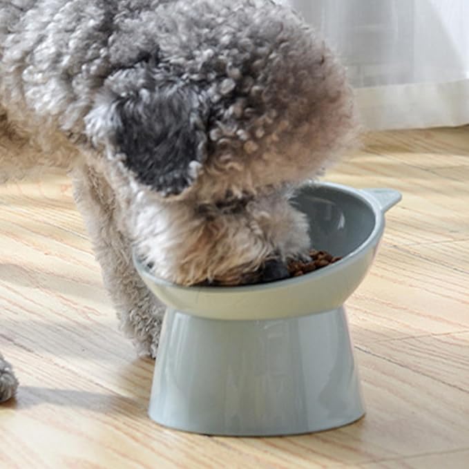 Raised Cat Food Bowl, 15° Tilted Whisker Friendly Dog Water Bowl Anti Vomiting Pet Dishes Puppy Ergonomic Feeding Set Supplies for Cats and Puppies (Blue Gray)