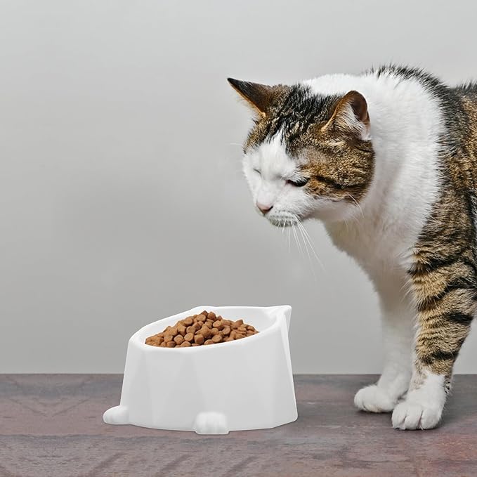 LALAFINA Raised Ceramic Cat Bowl Elevated Pet Feeding Dish Anti-Spill White Single Bowl for Cats and Small Dogs
