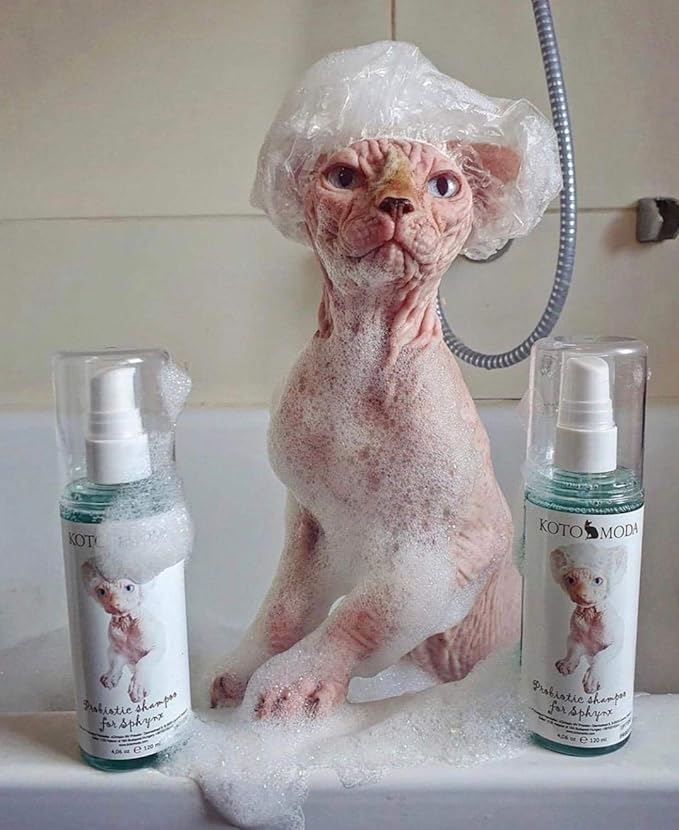 Probiotic Shampoo for Sphynx Cats, 8.45 fl oz (250 ml) Gentle Live-Probiotic Cleanser for Hairless and Sensitive-Skin Cats, Sulfate- and Paraben-Free, 40-60 Baths