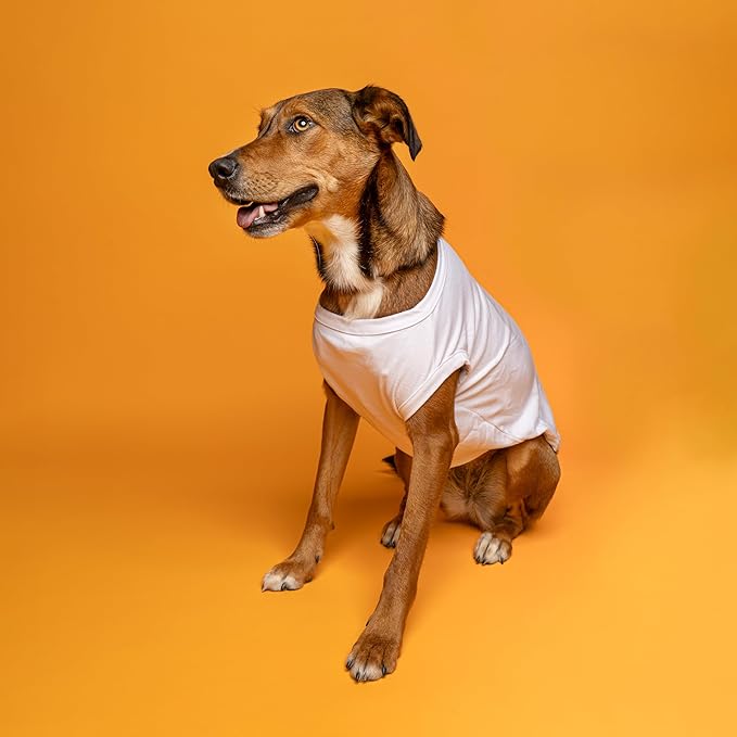 Crayon Dog Tee Shirt | Sleeveless Breeds | Halloween | Trick or Treat | Group Costume | School Parade | Family Outfits |White, X-Large 410