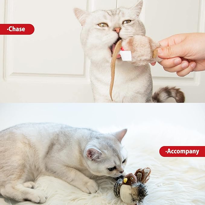 Gigwi Chirping Bird Cat Toy Set, Interactive Chasing Toy for Indoor Cat, Motion Activated Kitten Play Toys, Squeaky Cats Animal Feather Toy for All Breeds Cats Kicker