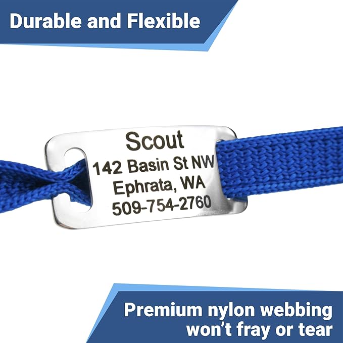 GoTags Personalized Reflective Cat Collars with Tag, Engraved Custom with Name and Phone, Breakaway Collar with Safety Buckle and Bell, Adjustable for Cats and Kitten, (Hunter Green with Nameplate)