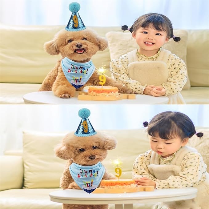 Dog Birthday Party Supplies with Bandana and Party Hat with Numbers, Happy Party Banner and Bollon for Small Middle Dogs Blue Birthday Boy Girl Scarf (Blue)