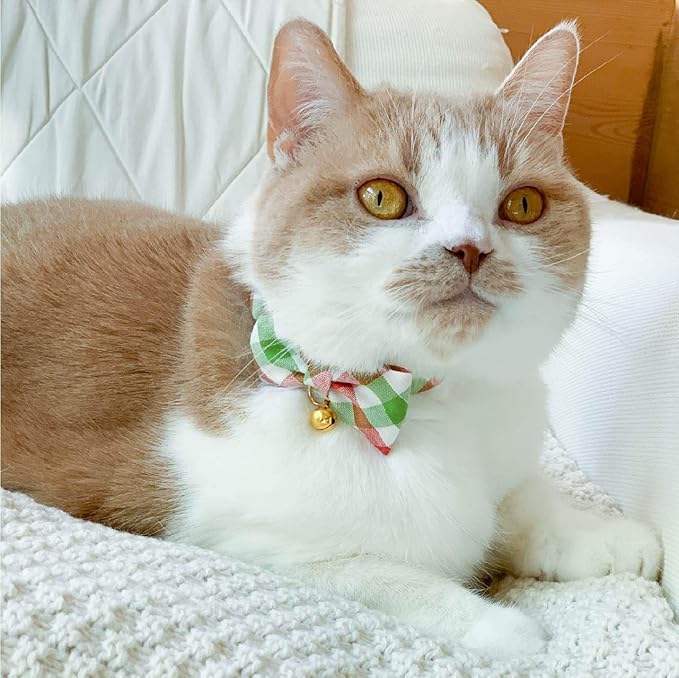 Purrfect Picnic Bow Tie Cat Collar (Red) with Bell Safety Breakaway Soft Lightweight for Cats Kitty Kitten Japanese Stylish Pattern, No.1 Seller in Japan