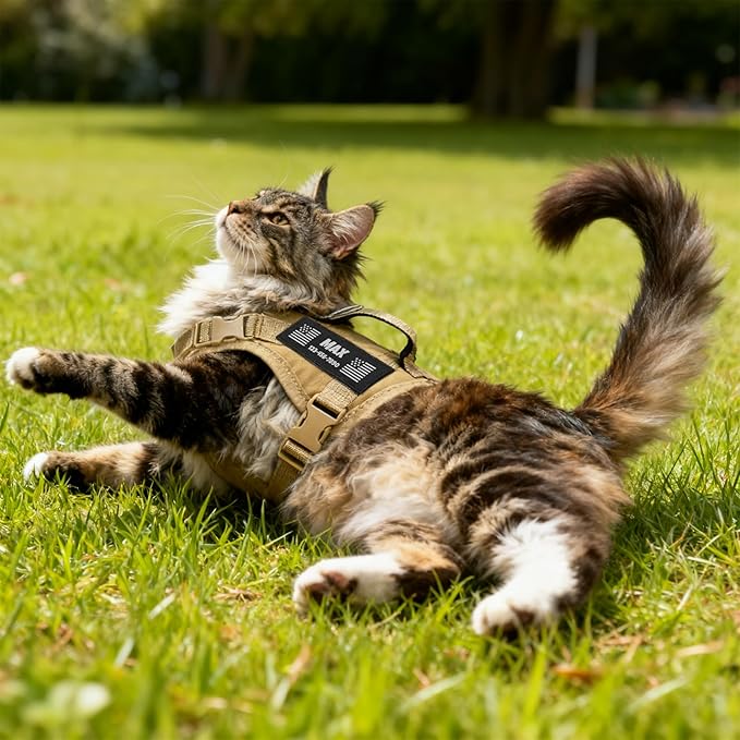 Custom Khaki Tactical Cat Harness and Leash Escape Proof Adjustable Vest with Reflective Strips and Personalized Patch Soft Breathable Outdoor Gear for Walking Training Fits Cats 7-12 lbs