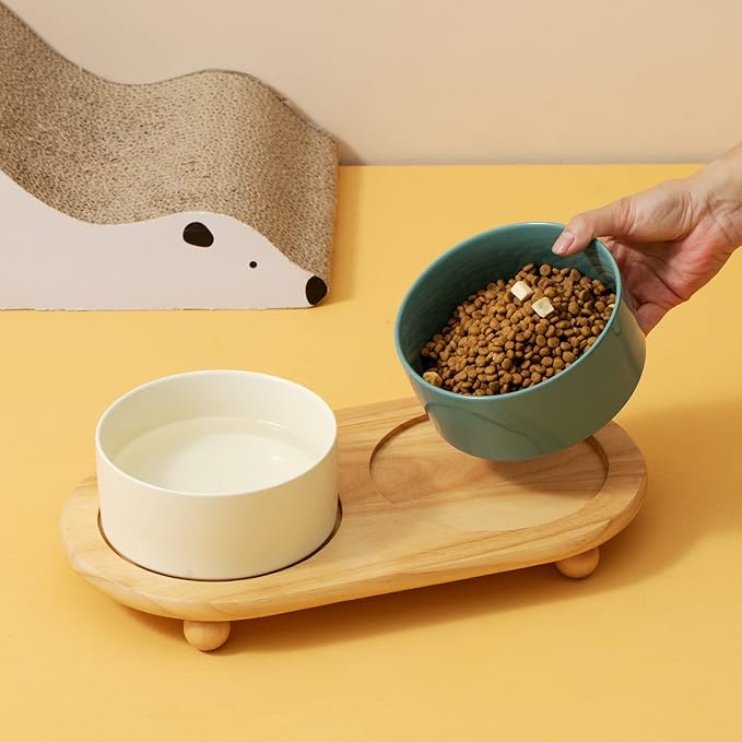 Havniva Raised Cat Bowls Water Bowl 5.1” Elevated Ceramic Cat Food and Water Bowl Whisker Friendly Pet Food Bowls for Indoor Cats, Wide Cat Water Dish Prevent Whisker Fatigue Non Slip Cat Feeder