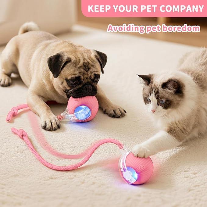 Interactive Cat Toys for Indoor Cats Smart Automatic Ball Rolling for Bored Kitten Pet Upgraded Speedy Moving Chase Dogs Toy Mothers Day Gifts Pink Dragonfly