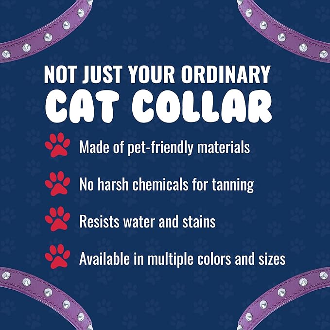Studded Cat Collar, Genuine Leather Kitten Collar, Sturdy Breakaway Cat Collar with Bell and Elastic Stretch, Cat Accessories, Orchid Purple, 10 x 1/2 inches - Angel Pet Supplies