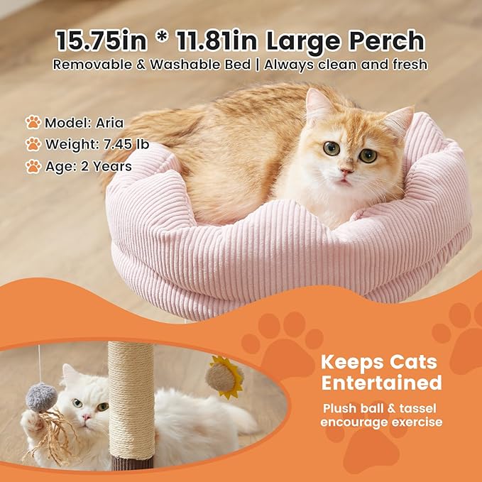 Gardner Pet 20" Cat Tree Corduroy, Solid Wood Small Cat Tree, Compact Cat Tower Perch for Kittens & Indoor Cats(Brown, Circle-Corduroy)