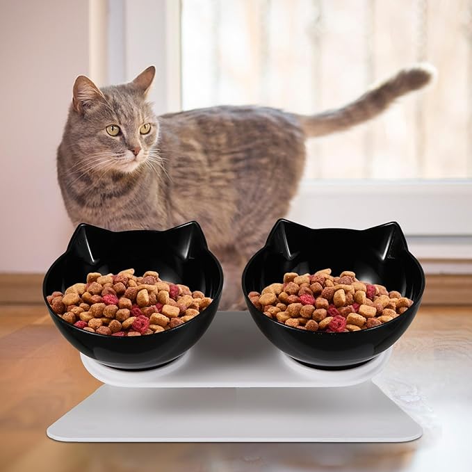 Elevated Tilted Cat Food Feeder Bowls Set, Black Plastic Raised Pet Feeding and Watering Bowls for Cats, Neck Protection Design for Comfortable Eating