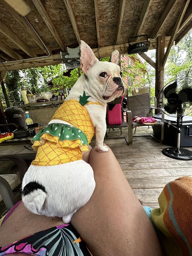 Funny Dog Swimwear Bikini Summer Dog Clothes Beach Swimsuit Puppy Bathing Suit Puppy Vest Cooling Pet Shirt for Small Dogs, Cat Apparel (Small, Yellow Pineapple)