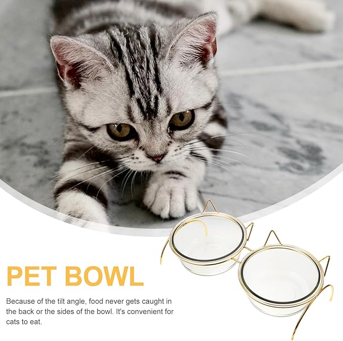 ELEOUTI Angled Cat Feeding Bowl Set with Neck Protection Double Bowls with Iron Raised Stand for Cats Suitable for Home Feeding and Watering