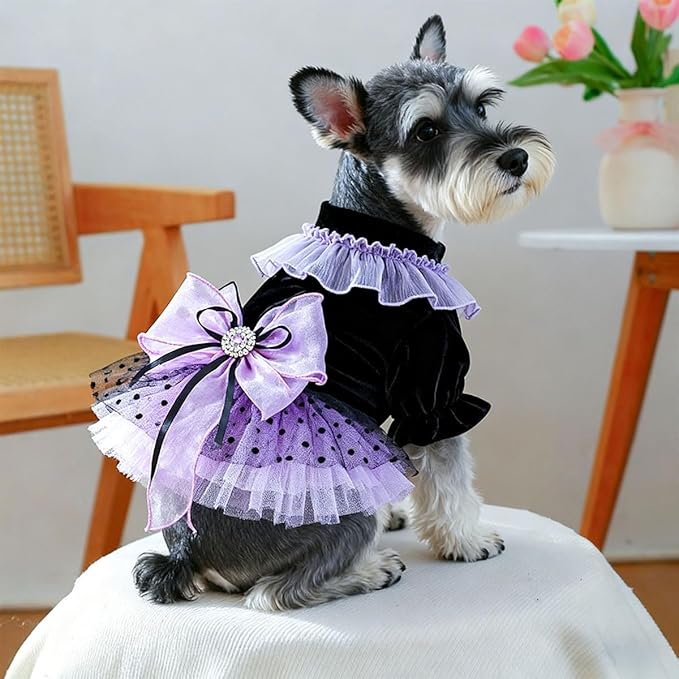 Dog and Cat Butterfly Princess Lace Tutu Dress, Dog Girl Set, Kitten Chihuahua York Pomeranian Pet Clothing (Purple-Bow, Medium)