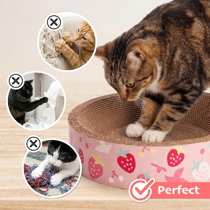 BLUE BAY Cat Scratcher Lounge Bed — 2-in-1 Cardboard Scratch Bowl & Cozy Cat Bed for Indoor Cats, High-Density Corrugated Scratcher, Non-Toxic Recyclable Furniture Protector, All Breeds