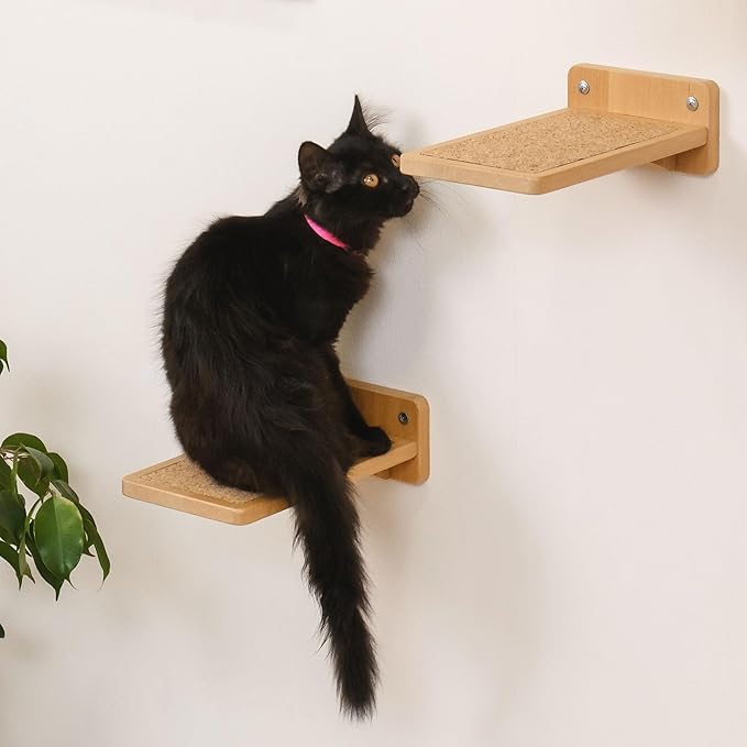 Cat Wall Bed + Steps, Cat Bed, Cat platform, Cat Wall Shelf, Cat Wall Furniture, Cat Wall Bed Cat Wall Steps Gift Cat Furniture, Cat Shelves
