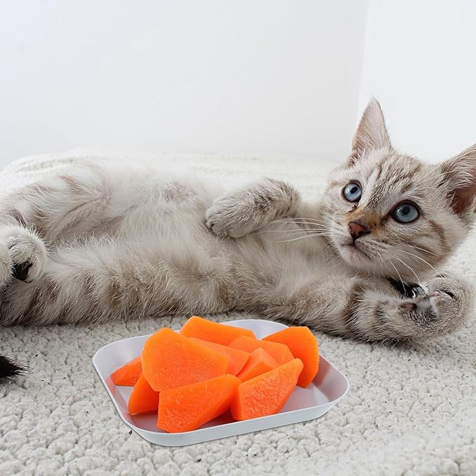 BESPORTBLE Cat Bowls Set 10pcs Shallow Round Pet Food Plates with Wide Feeding Surface, Whisker Friendly Small Cat Dishes for Indoor Kitten Feeding and Watering