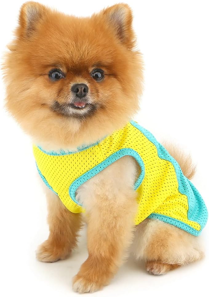 PAIDEFUL Breathable Mesh T-Shirt for Small Dogs Summer Doggie Cool Vest Soft Lightweight Puppy Tee Shirts Sleeveless Pet Tank Top Sweatshirts Cozy Chihuahua Clothes Cat Apparel D-Ring,Green,L
