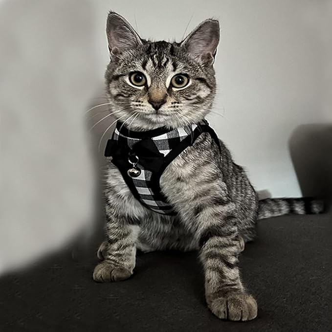 Catcat Walking Harness and Leash,Breathable Soft Kittens Vest for Cats Dogs, Escape Proof with Bell and Bow-Knot Decoration Christmas（Black and White，S）