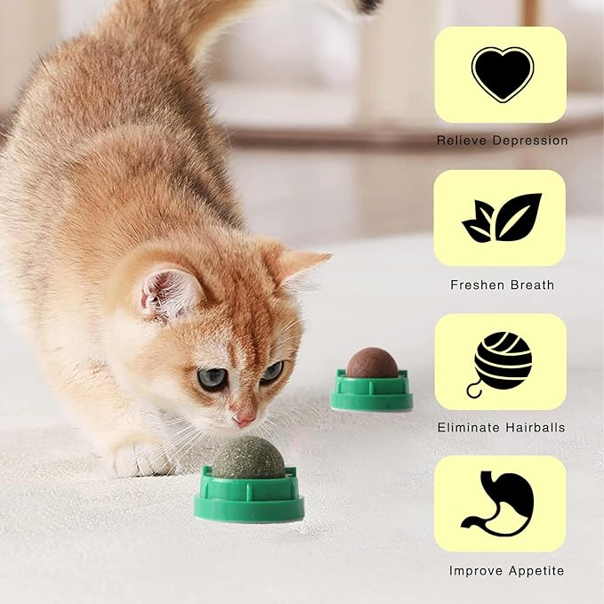 3PCS Catnip Balls for Cats Wall Edible Cat Toys with Catnip Silvervine Gall Fruit Flavors for Cat Lick Safe Teeth Cleaning Dental Cat Toys
