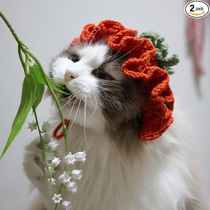Cute Carrot Cat Hat Crochet Collar, Birthday Party Kitten Costume for Puppy, Pet and Small Animals(Red, Small)