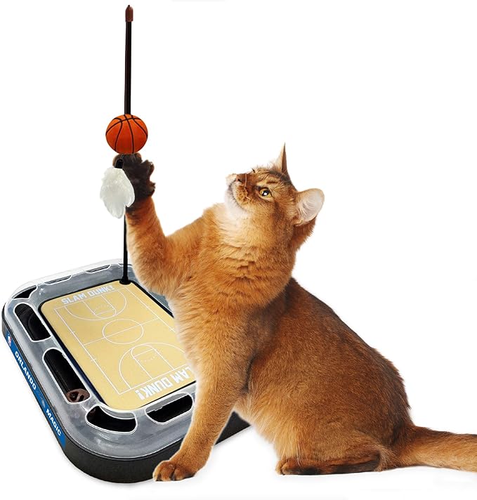Orlando Magic Basketball Cat Scratcher Toy