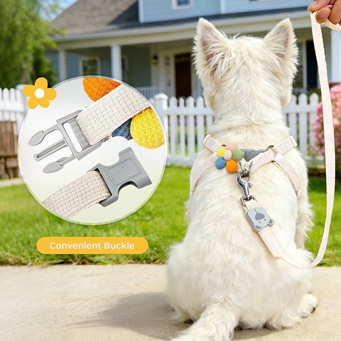PETCARE Cute Flower Dog Harness and Bowtie Leash Set Easy Walk Puppy Dog Halter Harness for Small Dogs Girl Step in Dogs Harnesses with Buckle (White, Chest Adjustable 13"-20", Rope Width 0.79")