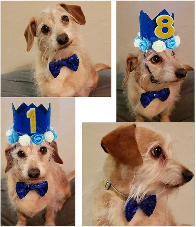 Dog Birthday Hat Adjustable Reusable Crown for Dogs Cats Puppy Kitten Birthday Party Headband with Numbers Dark Blue