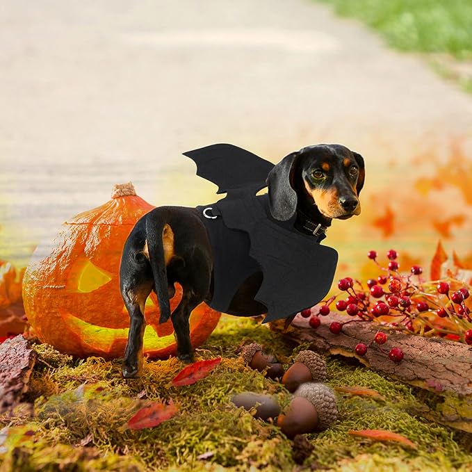 Rypet Dog Halloween Costume, Halloween Bat Wings Pet Costumes for Dogs Cats Halloween Party Large