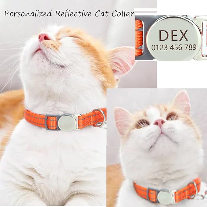 Custom Reflective Cat Collar, Personalized Engraved Pet Collar with Name and Phone Number, Breakaway Cat Collar with Safety Release Buckle and Bell, 8-12 inch Adjustable for Cats/Kittens
