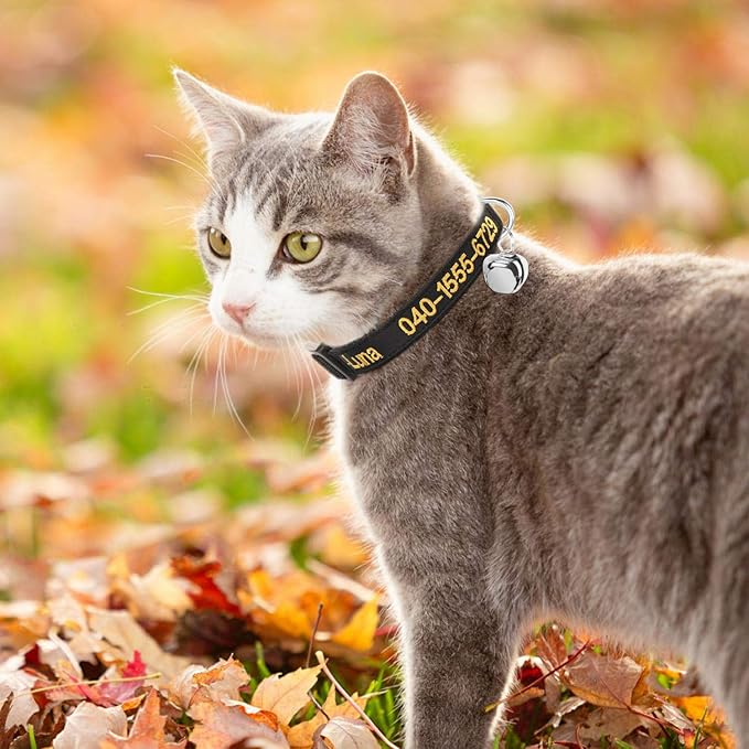 Personalized Cat Collar Embroidered Pet Name and Number Kitten Collar with Bell & Breakaway Safety Buckle