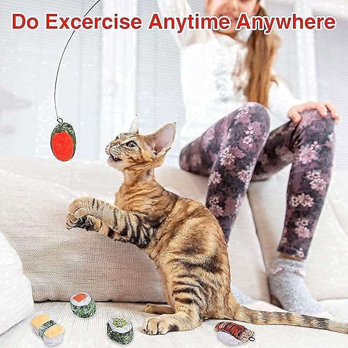 Catnip Toys, 8 Pack Kitten Toys for Indoor Cats, Bite Resistant Cat Chew Toy with Sushi Roll, Boredom Relief Fluffy Kitty Teeth Cleaning Chewing, Interactive Plush Gift