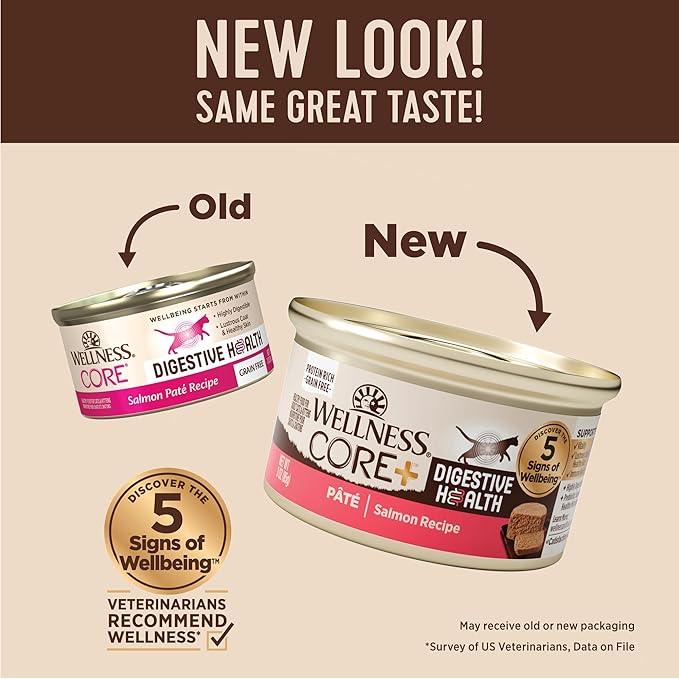Wellness CORE+ Digestive Health Pate Adult Canned Wet Cat Food, Natural, Protein Rich, Grain Free, Salmon Recipe, 3 oz, Pack of 12 Cans