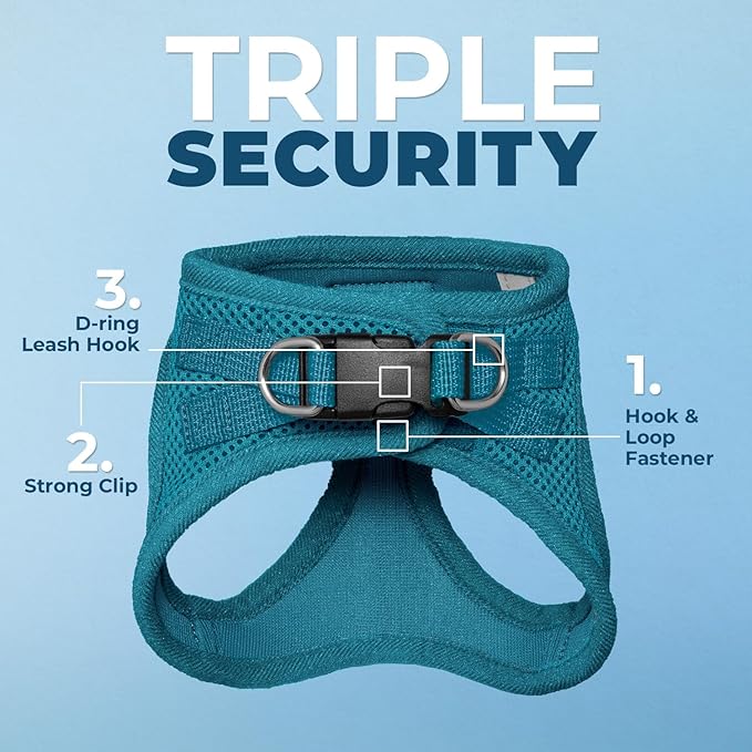 Voyager Step-in Pet Harness - All Weather Mesh, Adjustable Step in Harness for Cats and Dogs by Best Pet Supplies - 307S Turquoise, XXXS