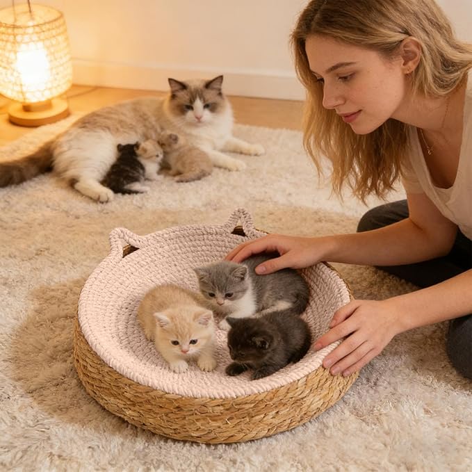 Cat Lounge Disc Bed Circular Sisal Fiber Ventilated Cooling Scratch Board Pad Rest Sleep Toy Tunnel Jump Fitness Paw Care Relaxation Ergonomic Nonslip FurnitureSafe Premium