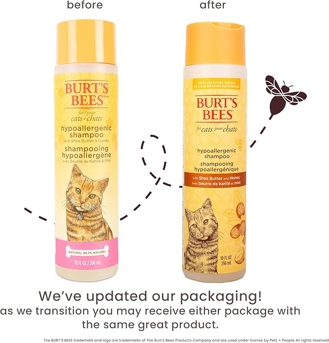Burt's Bees for Pets Hypoallergenic Cat Shampoo with Shea Butter and Honey, Gentle Formula for Indoor Cats with Dry or Sensitive Skin, pH Balanced, Fragrance-Free, 10 Fl Oz - 6 Pack