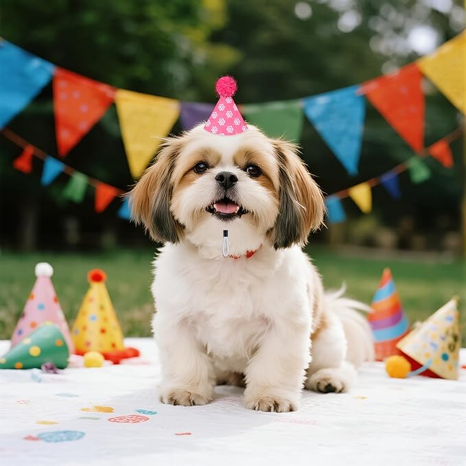 10Pcs Party Hats for Stuffed Animals, Cat Dog Birthday Hats Dolls Party Hat Mini Birthday Hat for Holiday Wedding Puppies Kittens Costume