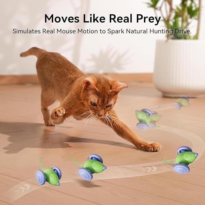 Interactive Cat Toys for Indoor Cats, Kitten Toys Like a Mouse, Rechargeable Cat Mouse Toy with Tail & Lights, Cat Toys for Bored Indoor Adult Cats, Automatic Cat Toy for Enrichment Exercise