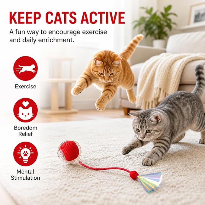 Interactive Cat Toy Ball with LED Lights, USB-C Rechargeable Automatic Cat Toy with Feather Tail, Smart Exercise Toy for Indoor Cats & Kittens, Upgraded Version