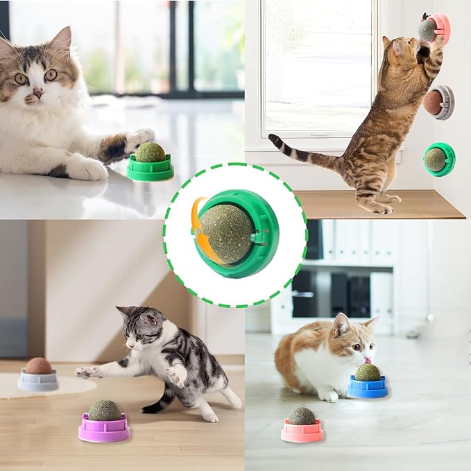 6PCS Catnip Balls for Cats Wall Edible Cat Toys with Catnip Silvervine Gall Fruit Flavors for Cat Lick Safe Teeth Cleaning Dental Cat Toy