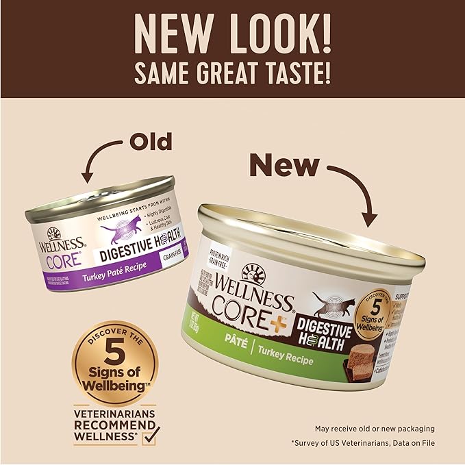 Wellness CORE+ Digestive Health Pate Adult Canned Wet Cat Food, Natural, Protein Rich, Grain Free, Turkey Recipe, 3 oz, Pack of 12 Cans