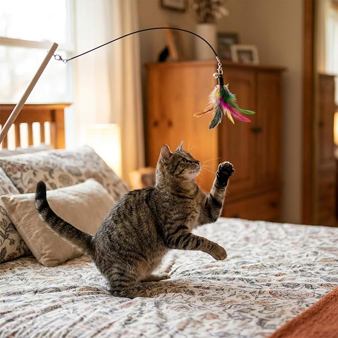 Molain 3 Pcs Cat Wand Toy Replacement Strings, 25 Inch Long Cat Toy String Cat Toy Wire with Lobster Clasps for All Lures Cats Stick