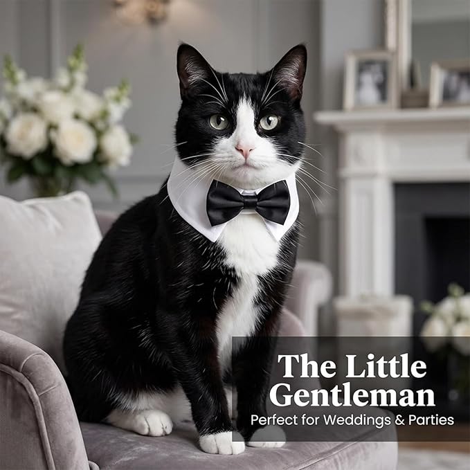 3 Pcs Dog Cat Bow Tie Pet Tuxedo Collar Wedding Formal Costume Adjustable for Dog Cat Puppy Birthday Necktie Collars