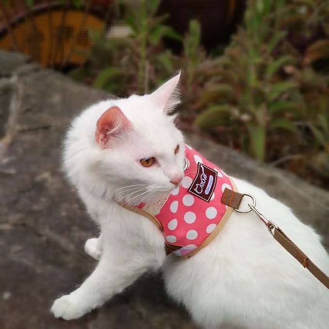 Cat Harness and Leash for Walking Escape Proof, Adjustable Cat Vest Harness, Padded Stylish Cat Walking Jackets, Polka Dot Pink, Extra Large