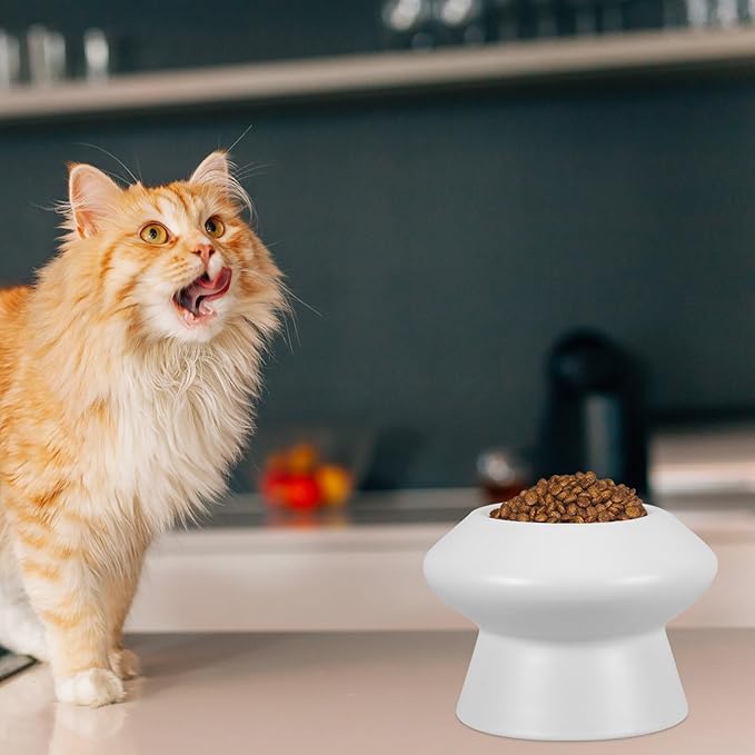 Ceramic Pet Feeding Bowl Raised Dog Cat Water Dish High Feet Elevated Ceramic Feeder Suitable for Pets Random Color